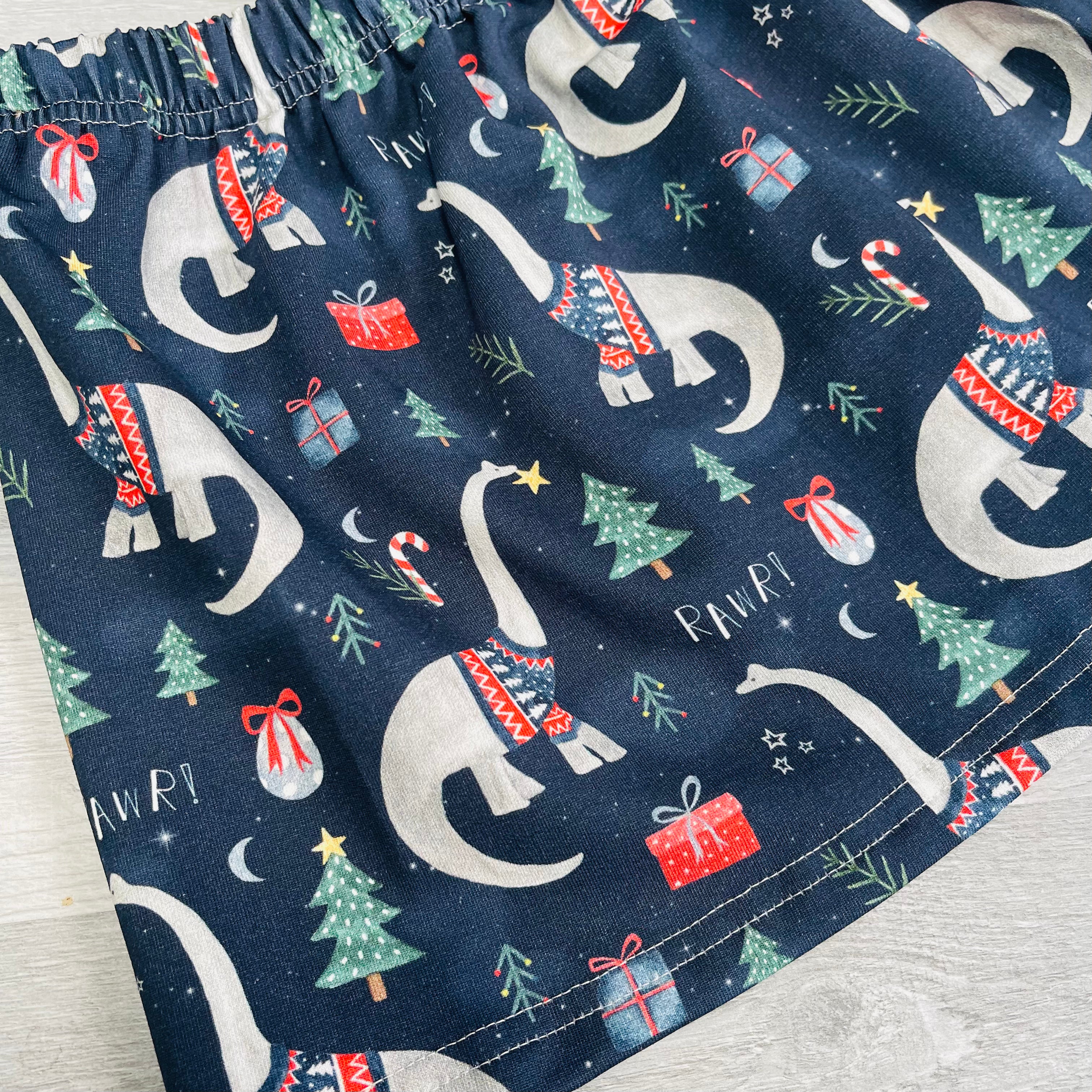Navy Dinosaurs Circle Skirt