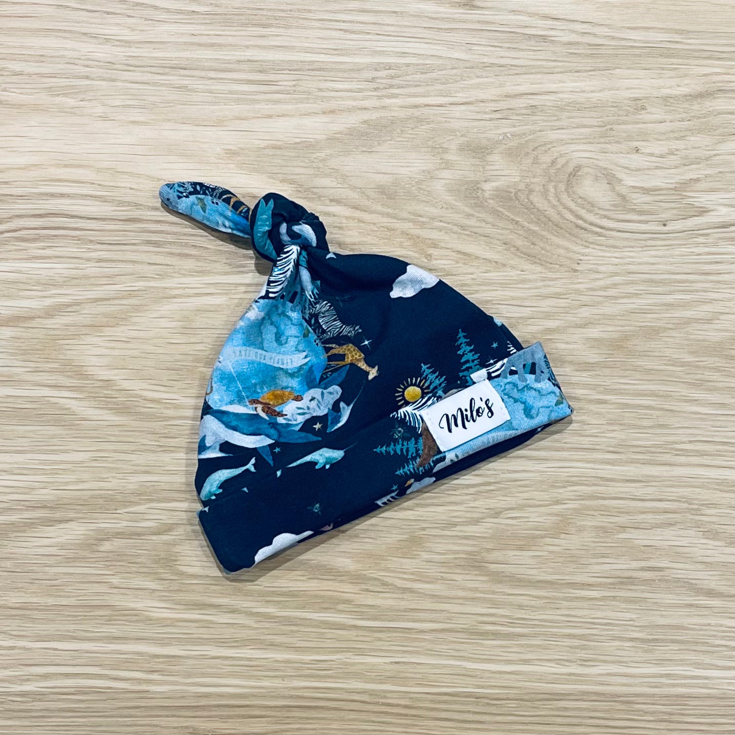 Baby Hat - Save Our Planet