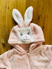 Bunny Rabbit All in One