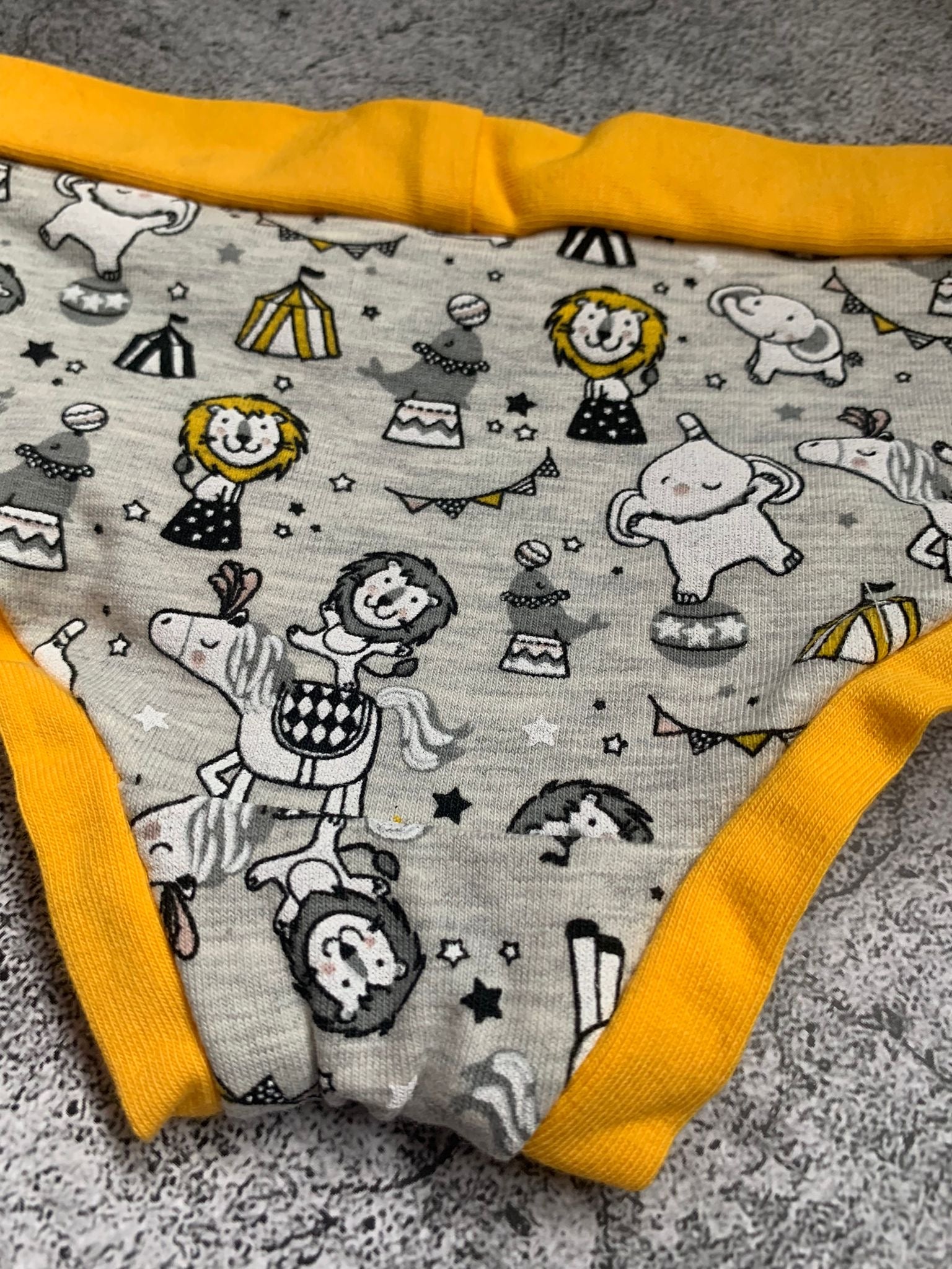 Circus Unisex Briefs - Age 2