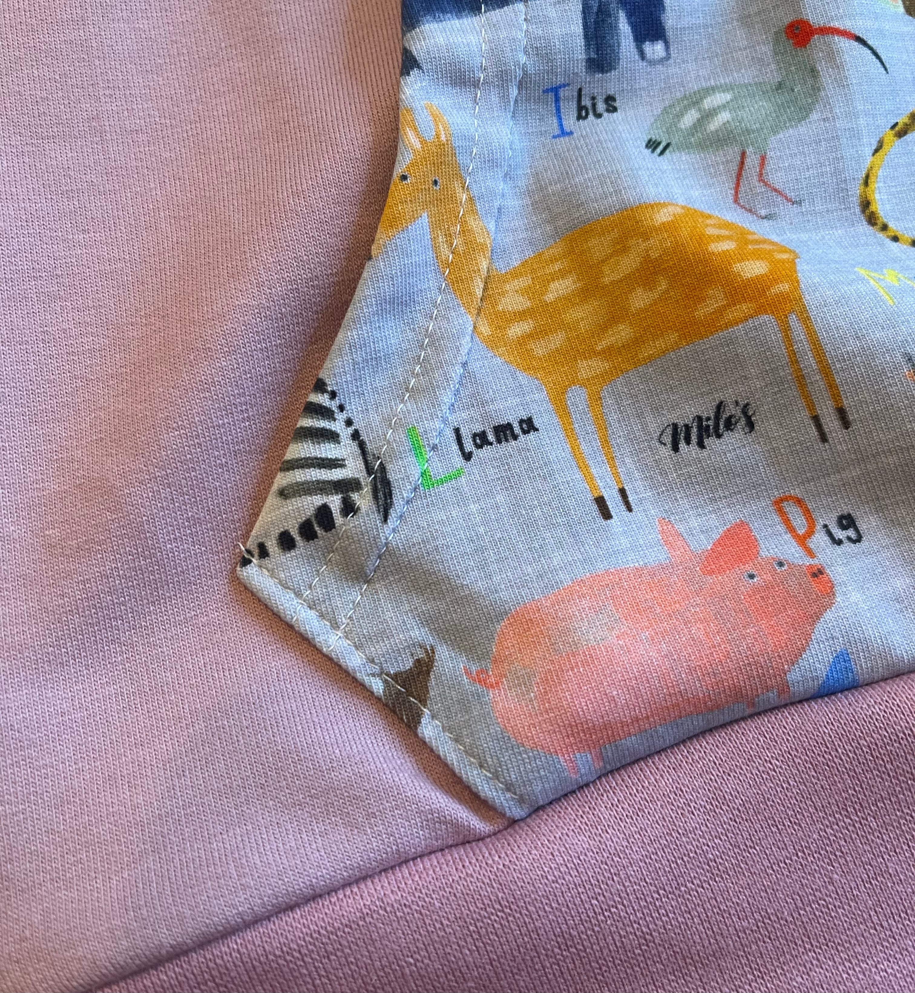 AlphaZoo Hoodie - 5-6 Years