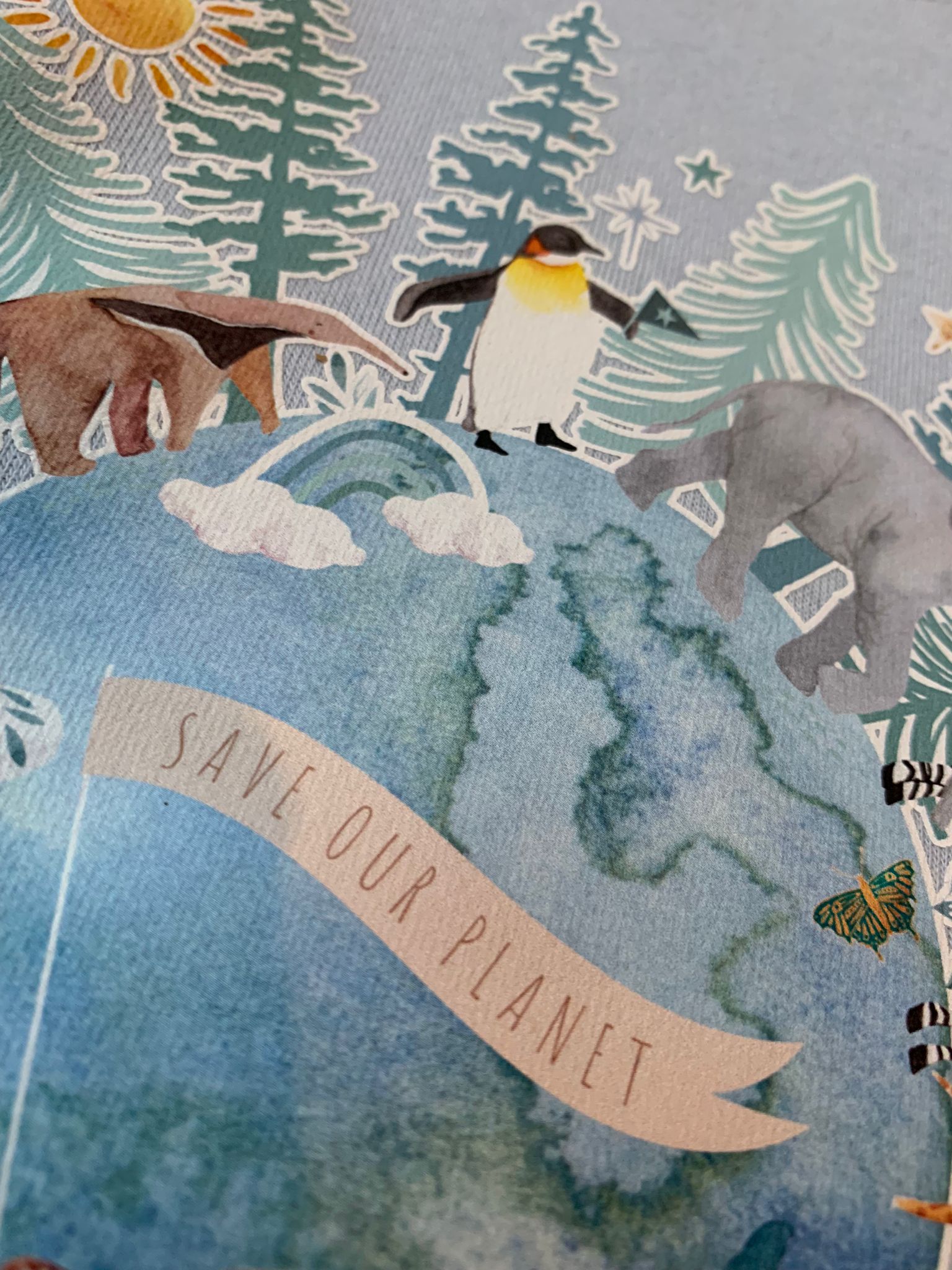 Save Our Planet Hoodie - 18-24 Months
