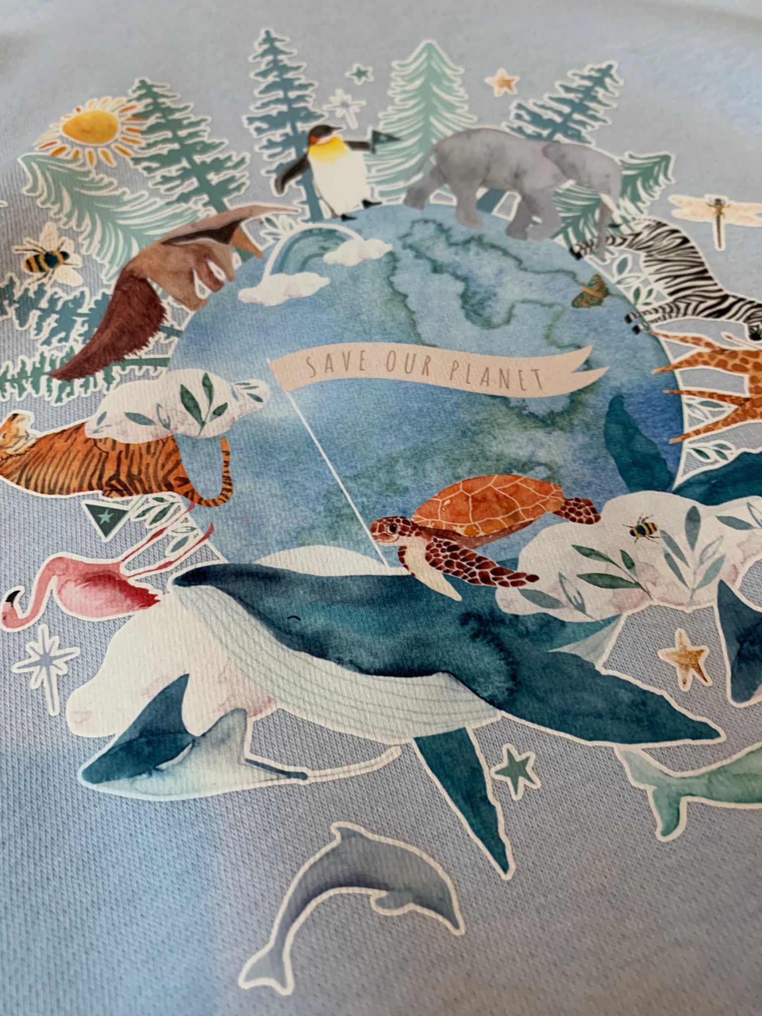 Save Our Planet Hoodie - 18-24 Months