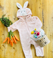 Bunny Rabbit All in One