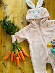 Bunny Rabbit All in One