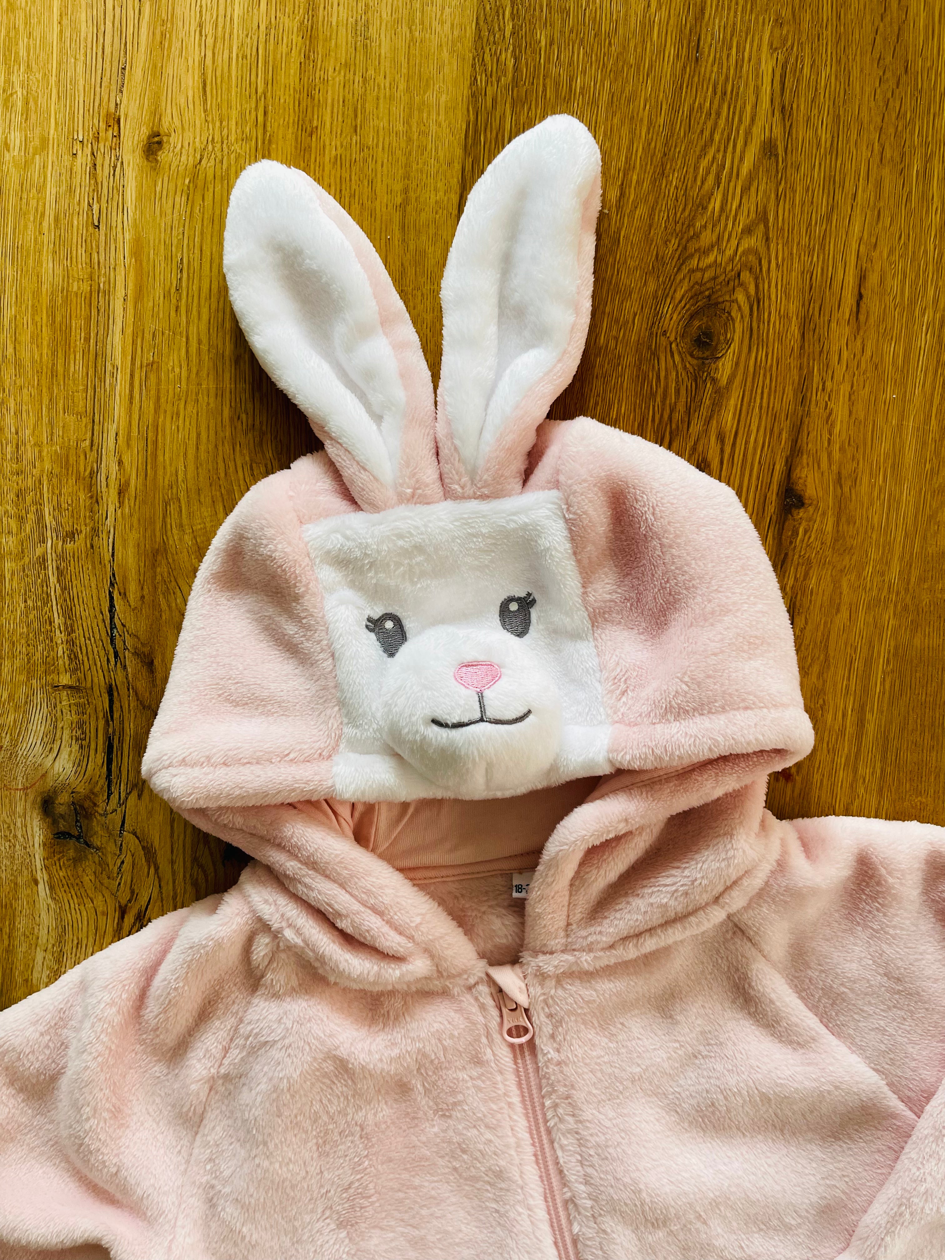 Bunny Rabbit All in One