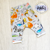 AlphaZoo Leggings - Grey